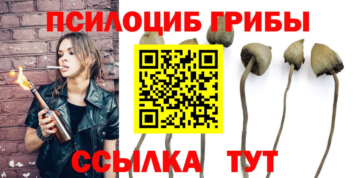 Галлюциногенные грибы мухоморы Мончегорск