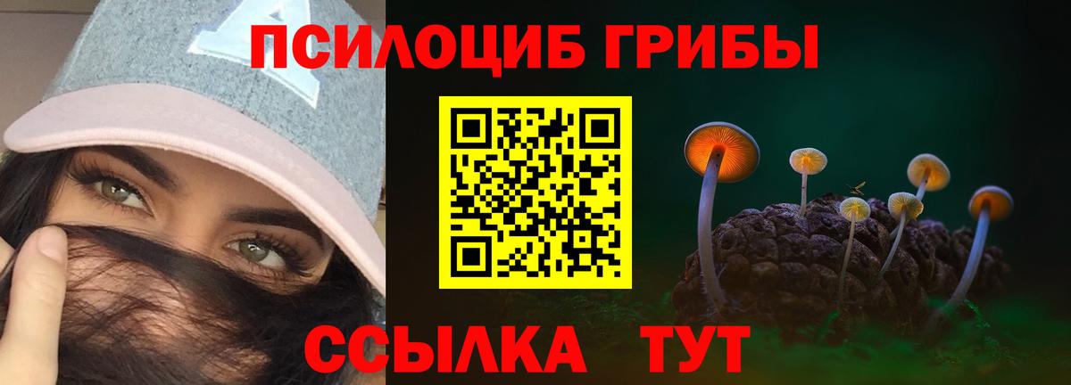 Мончегорск  Псилоцибиновые грибы GOLDEN TEACHER  Вход с VPN 